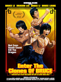 Poster de «Enter the clones of Bruce»